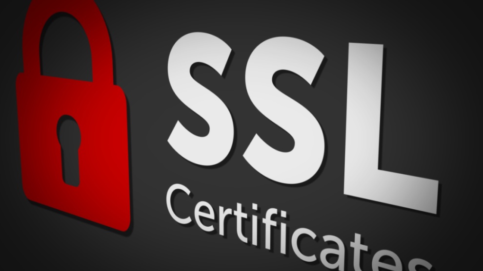 重磅上新 | dtns.auto-ssl 自动化SSL证书申请,让网站安全零门槛